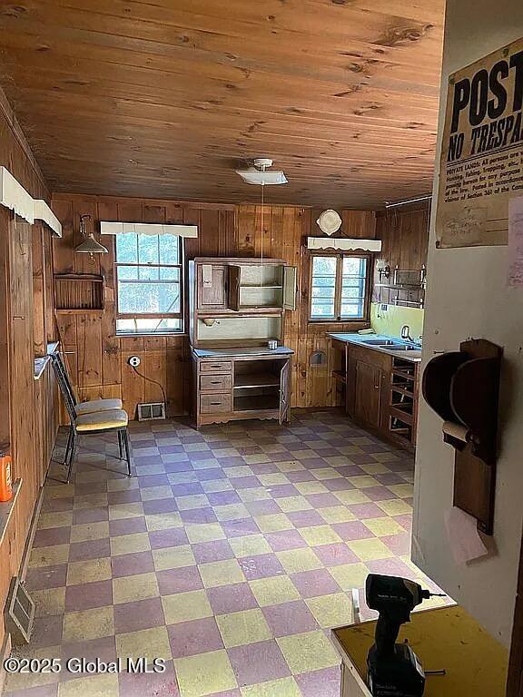 kitchen featuring a healthy amount of sunlight, sink, wooden ceiling, and wooden walls