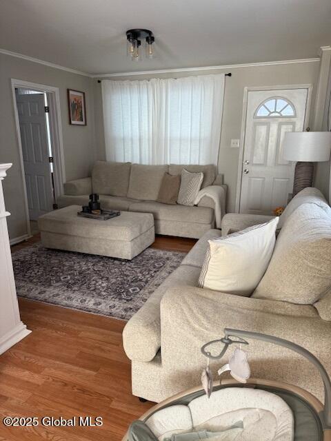 living room with hardwood / wood-style flooring and ornamental molding