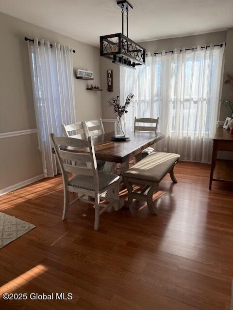 dining area with dark hardwood / wood-style flooring