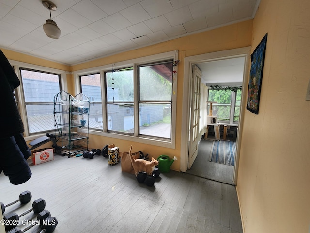 exercise room featuring wood-type flooring