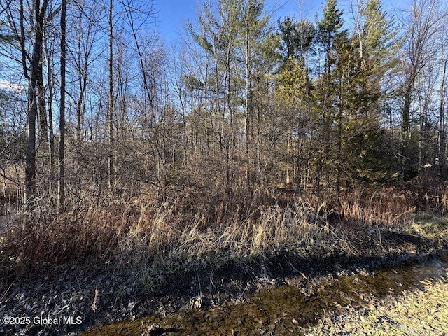 L3.000 Birch Ave, Willsboro NY, 12996 land for sale