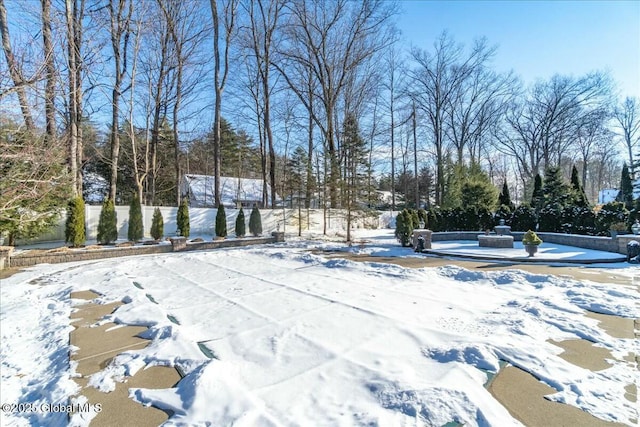 view of yard covered in snow