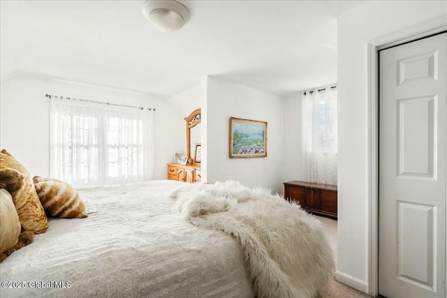 bedroom with carpet flooring