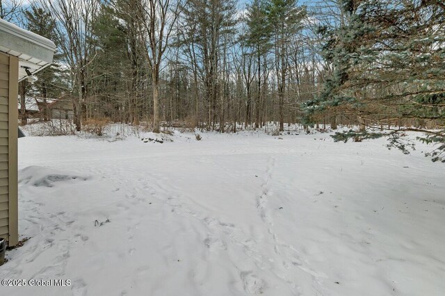 view of yard covered in snow