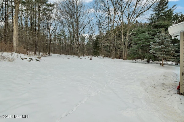 view of snowy yard