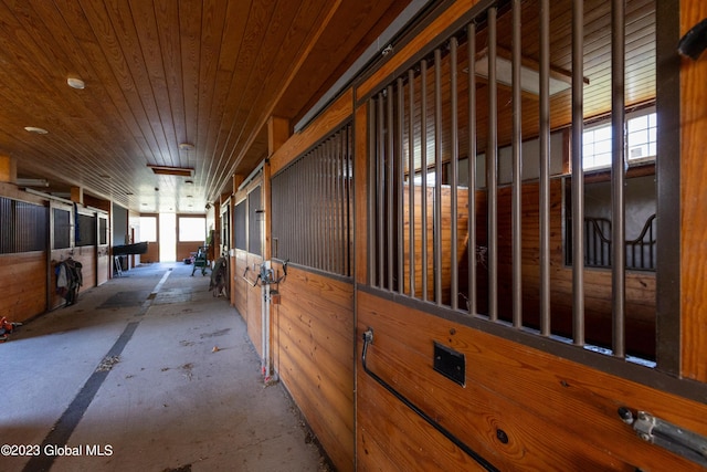 view of horse barn