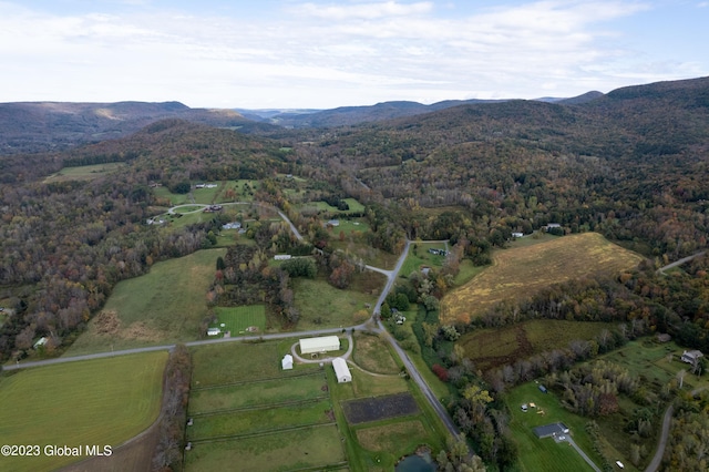 drone / aerial view featuring a mountain view