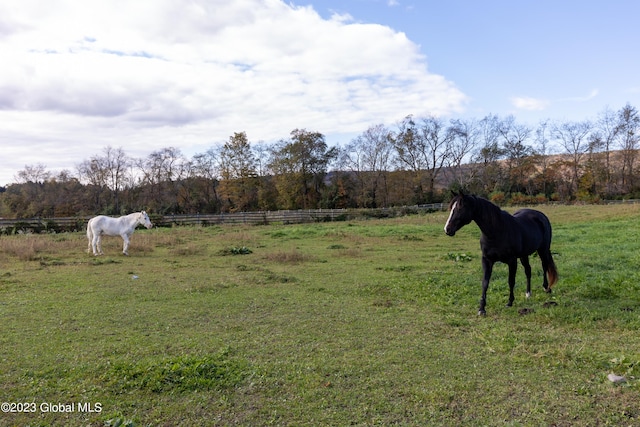 view of yard with a rural view