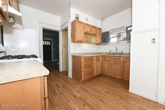 kitchen featuring range, sink, and light hardwood / wood-style flooring