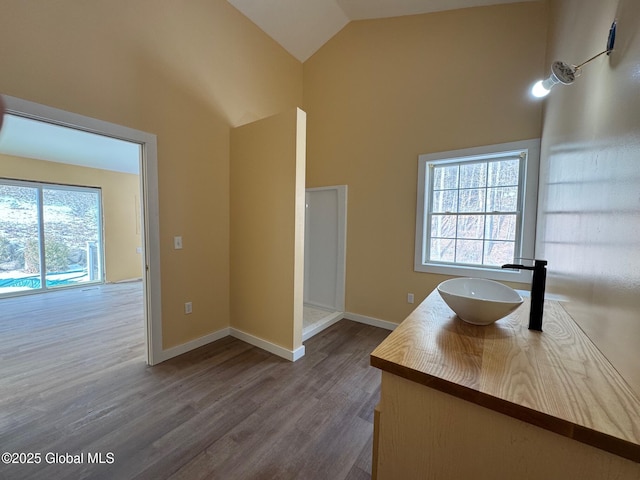 interior space featuring a healthy amount of sunlight, sink, hardwood / wood-style floors, and high vaulted ceiling