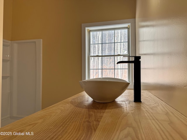 interior details featuring sink