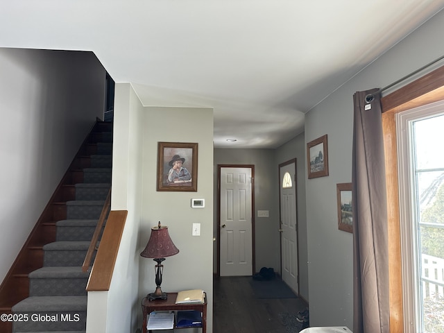 foyer entrance with dark hardwood / wood-style floors