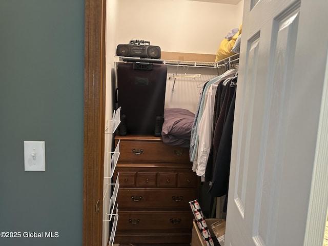 view of walk in closet