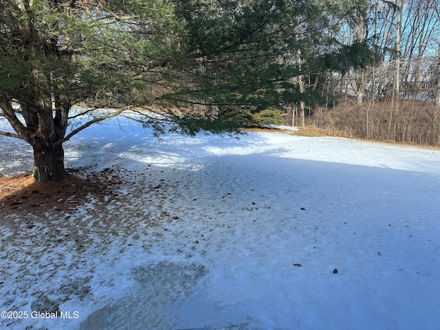 view of snowy yard