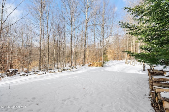 view of snowy yard