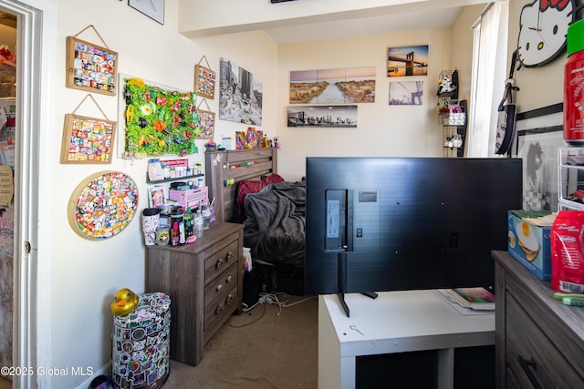 office featuring carpet floors