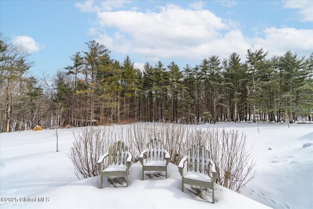 view of snowy yard