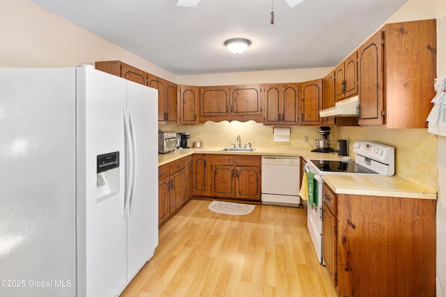 kitchen featuring sink, white appliances, light hardwood / wood-style flooring, and decorative backsplash