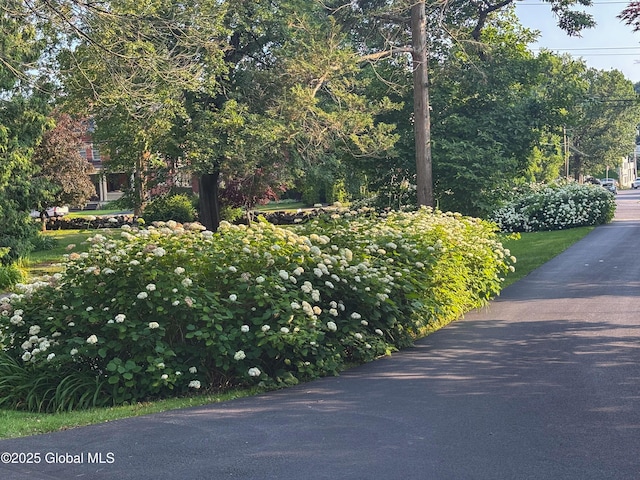 321 Guy Park Ave, Amsterdam, NY 12010 - photo 2