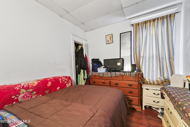 bedroom with a paneled ceiling and dark hardwood / wood-style flooring