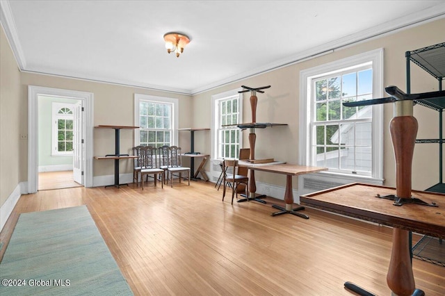 exercise area featuring ornamental molding, plenty of natural light, and light hardwood / wood-style floors