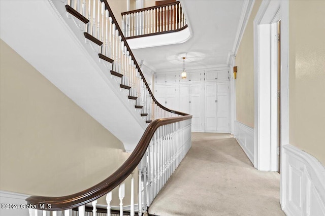 staircase featuring ornamental molding and carpet flooring