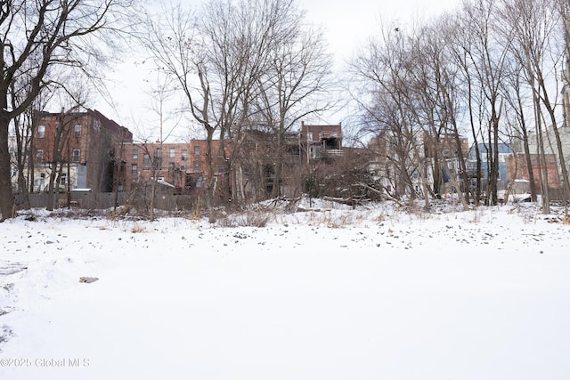 view of snowy yard