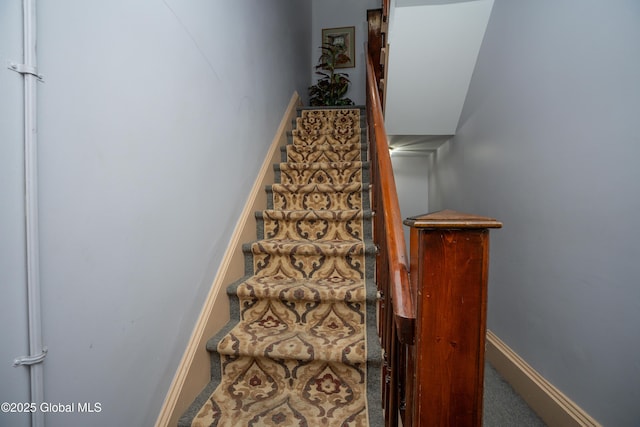 staircase featuring carpet floors