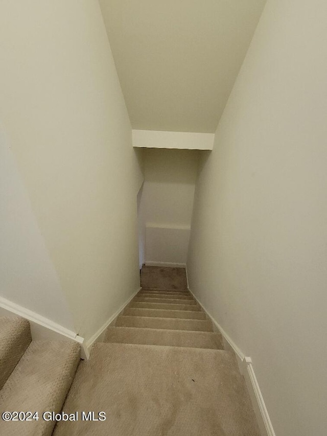 stairway featuring carpet flooring