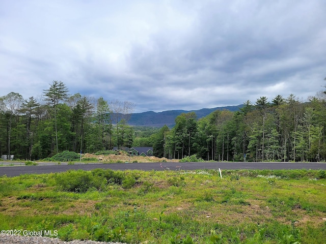 property view of mountains