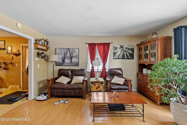 living room featuring light hardwood / wood-style floors