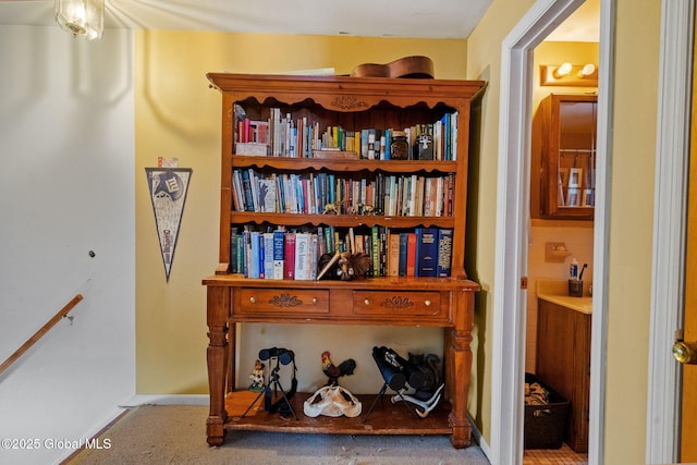 room details with carpet floors