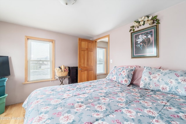 bedroom featuring wood-type flooring