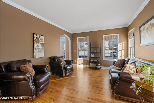 living room with ornamental molding and light hardwood / wood-style floors