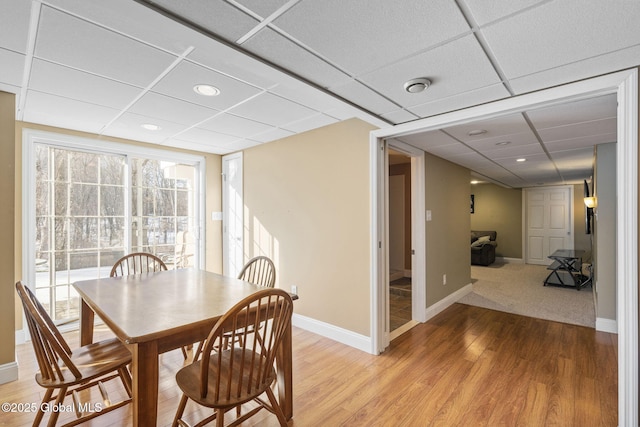 dining area featuring a drop ceiling and wood-type flooring