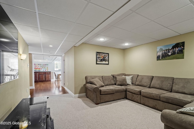 living room featuring plenty of natural light, carpet floors, and a paneled ceiling