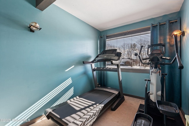 workout room featuring lofted ceiling and carpet floors