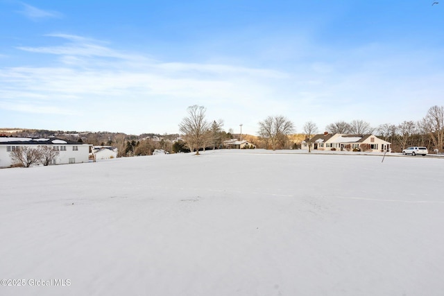 view of snowy yard