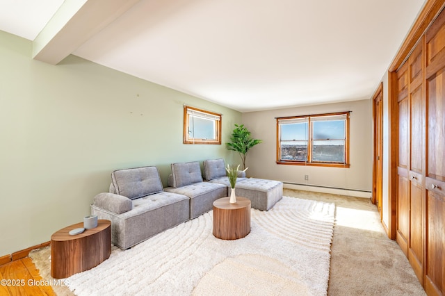 living room featuring a baseboard heating unit