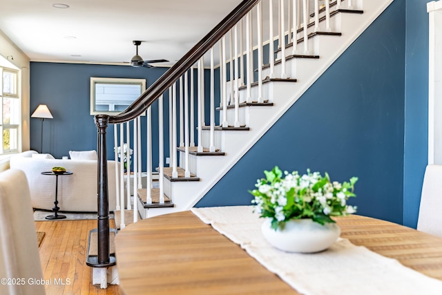 stairway featuring hardwood / wood-style flooring and ceiling fan