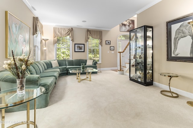 living room with crown molding and carpet