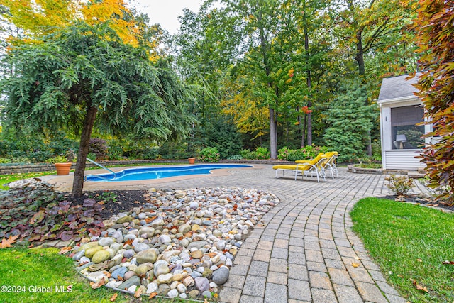 view of pool with a patio