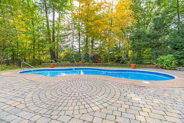 view of pool with a patio area