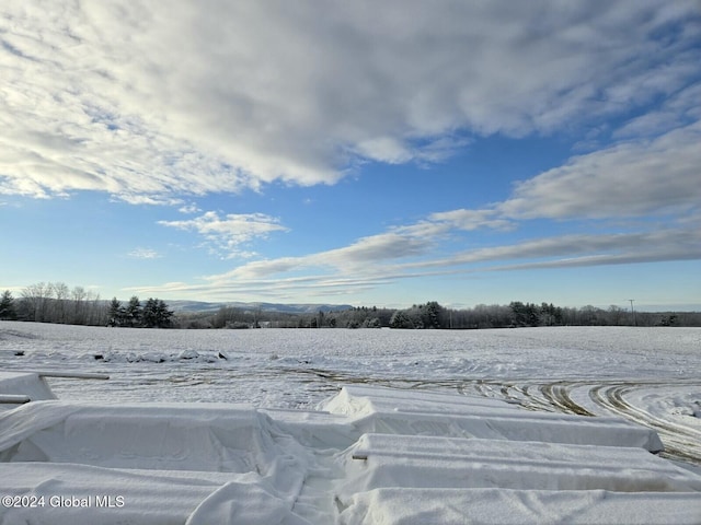 view of yard layered in snow