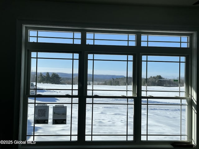 doorway featuring a mountain view and a healthy amount of sunlight