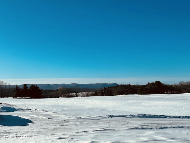 view of yard covered in snow