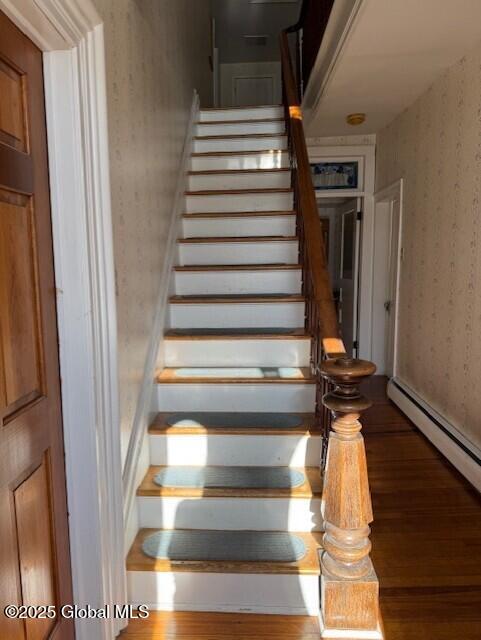 stairway with wood-type flooring