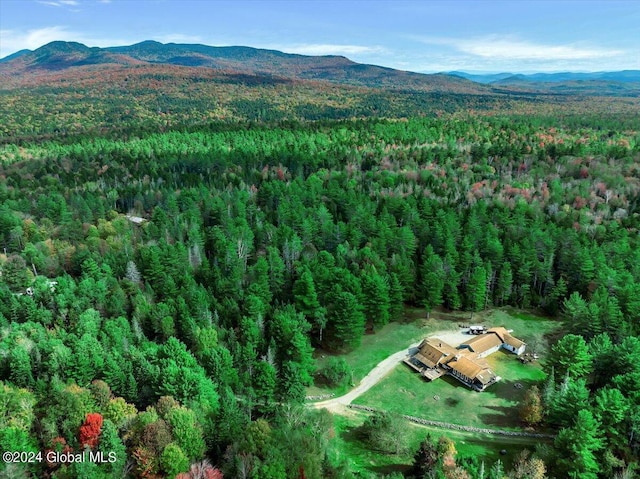 bird's eye view with a mountain view