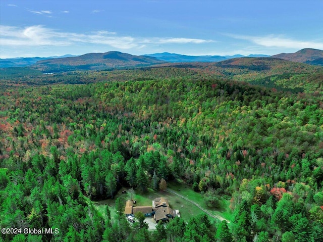 bird's eye view featuring a mountain view