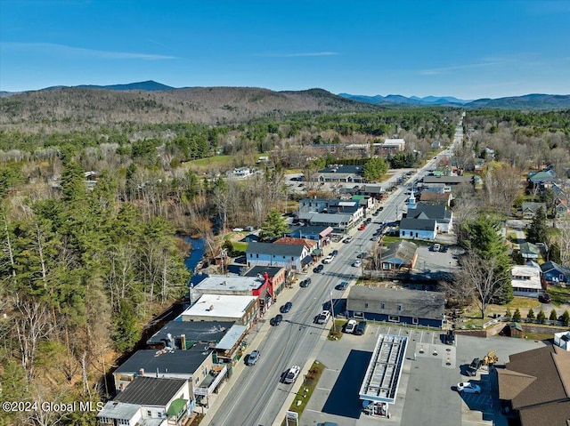 birds eye view of property with a mountain view